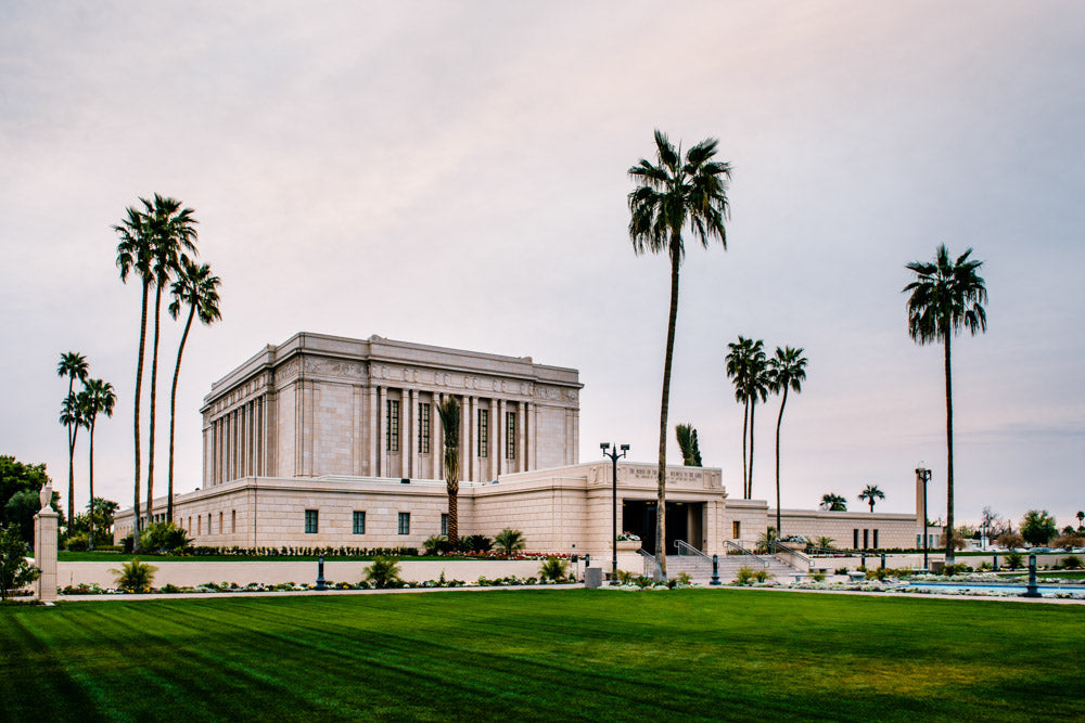 Mesa Temple - Palm Trees by Scott Jarvie