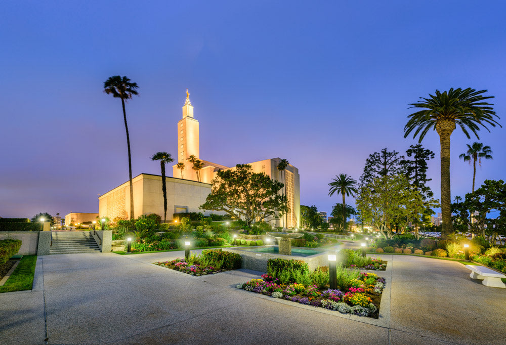 Los Angeles - Night Lights by Scott Jarvie