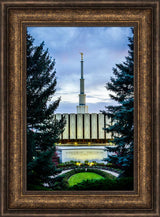 Provo Temple - Between the Trees by Scott Jarvie