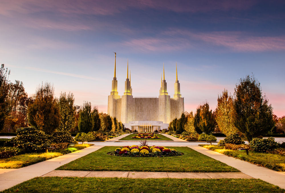 Washington DC Temple - Yellow Christmas Lights by Scott Jarvie