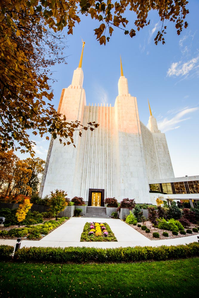 Washington DC Temple - Through the Leaves by Scott Jarvie