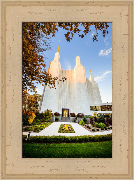 Washington DC Temple - Through the Leaves by Scott Jarvie