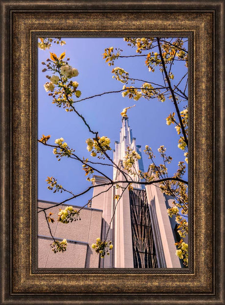 Tokyo Temple - Through the Trees by Scott Jarvie