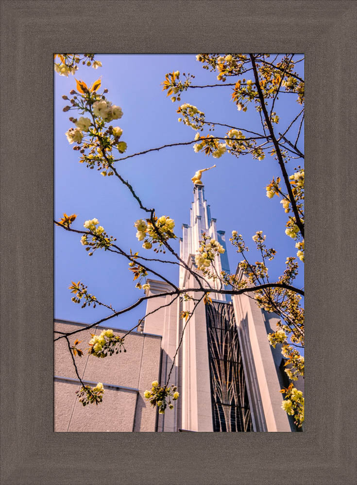 Tokyo Temple - Through the Trees by Scott Jarvie