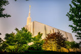 Seattle Temple - Sunset from the Side by Scott Jarvie