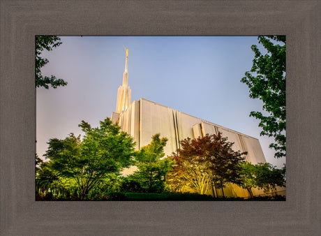 Seattle Temple - Sunset from the Side by Scott Jarvie