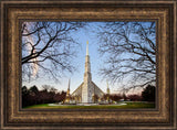 Chicago Temple - Through Trees Horizontal by Scott Jarvie