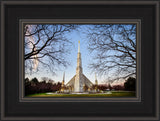 Chicago Temple - Through Trees Horizontal by Scott Jarvie