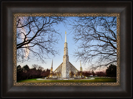 Chicago Temple - Through Trees Horizontal by Scott Jarvie