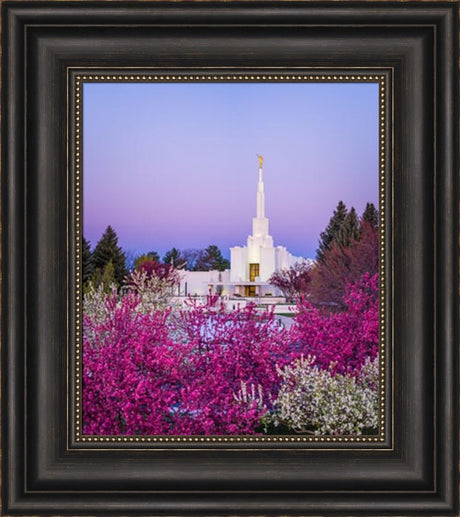 Denver Temple - Colorful Morning by Scott Jarvie