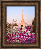 Denver Temple - Spring Sunrise by Scott Jarvie