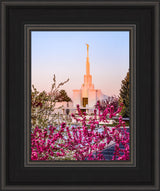 Denver Temple - Spring Sunrise by Scott Jarvie