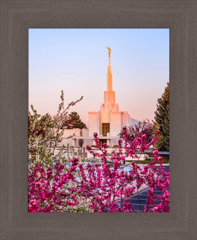 Denver Temple - Spring Sunrise by Scott Jarvie