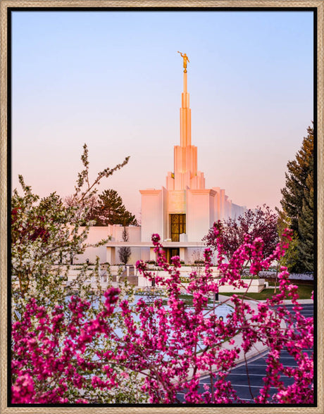 Denver Temple - Spring Sunrise by Scott Jarvie