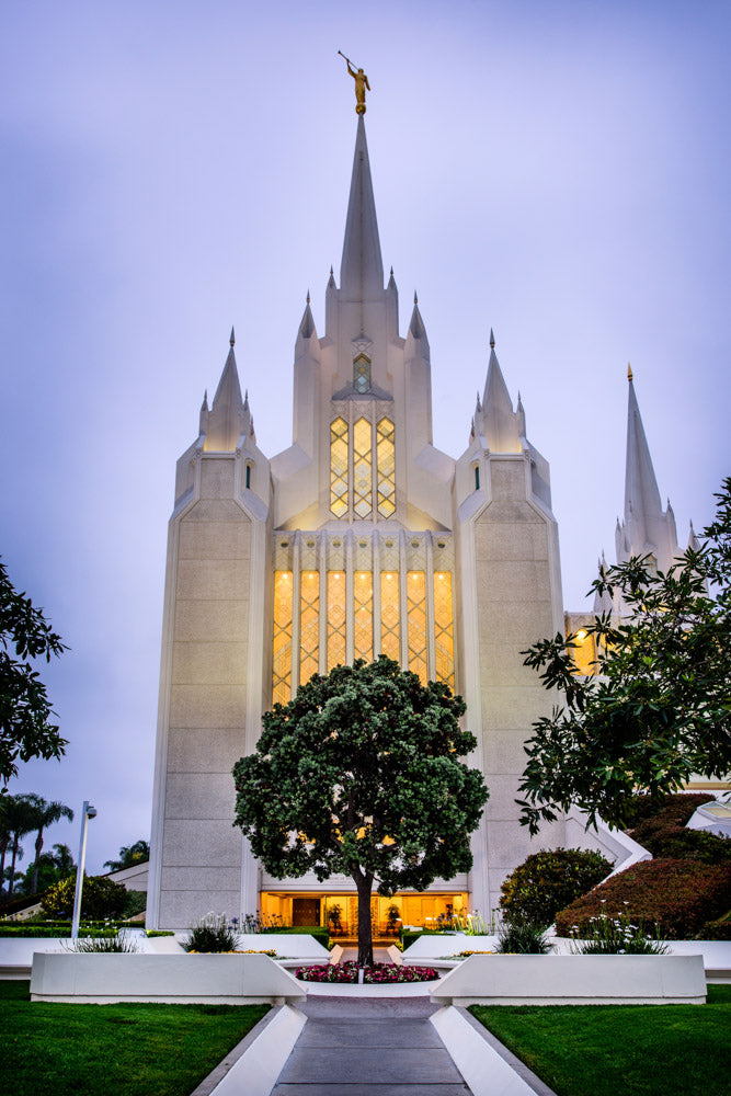 San Diego Temple - Tree by Scott Jarvie