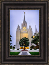 San Diego Temple - Tree by Scott Jarvie