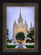 San Diego Temple - Tree by Scott Jarvie