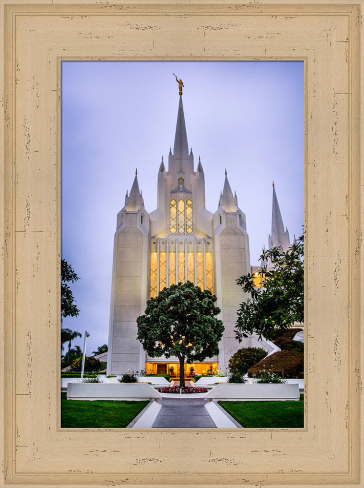 San Diego Temple - Tree by Scott Jarvie