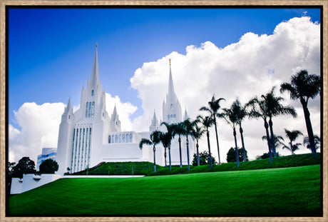 San Diego Temple - Summer Palms by Scott Jarvie