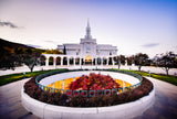 Bountiful Temple - Red Tree by Scott Jarvie