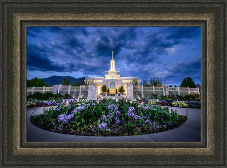 Mt Timpanogos Temple - Flowers by Scott Jarvie