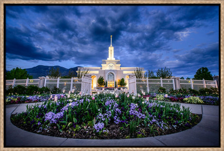 Mt Timpanogos Temple - Flowers by Scott Jarvie