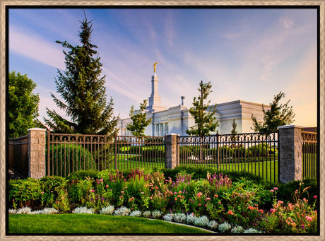 Flowers and Fence