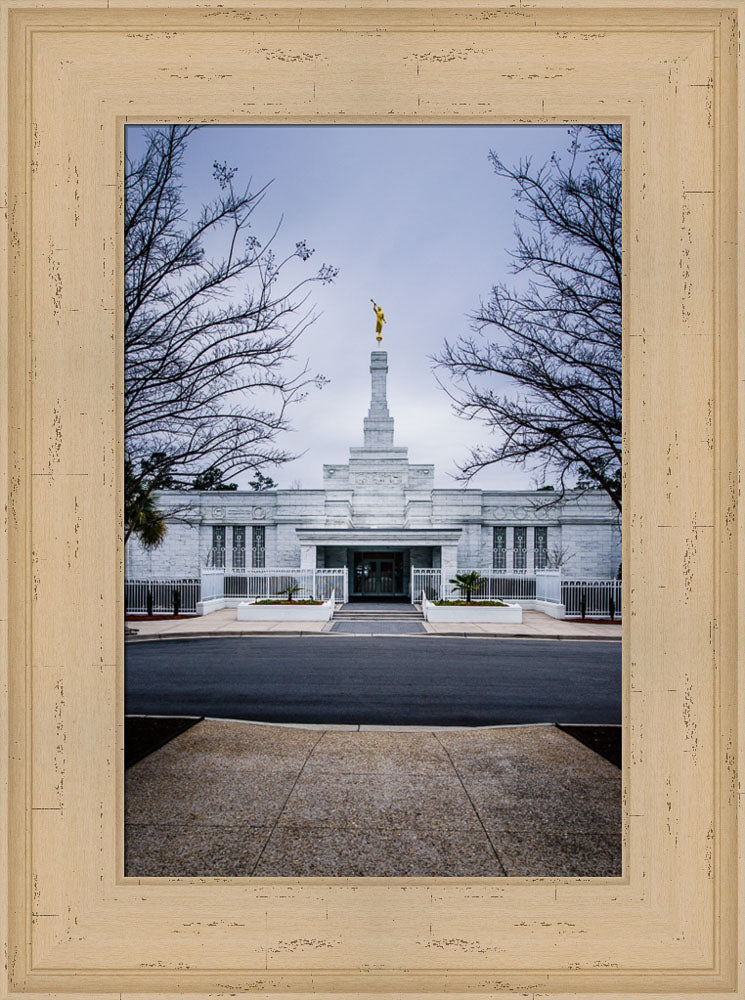 Columbia Temple - Front with Trees by Scott Jarvie