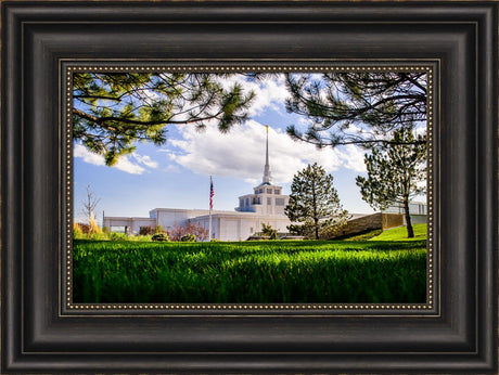 Billings Temple - Through Trees by Scott Jarvie