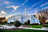 Raleigh Temple - Corner by Scott Jarvie