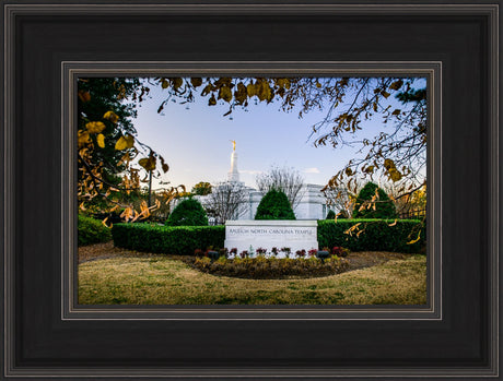 Raleigh Temple - Through the Leaves by Scott Jarvie