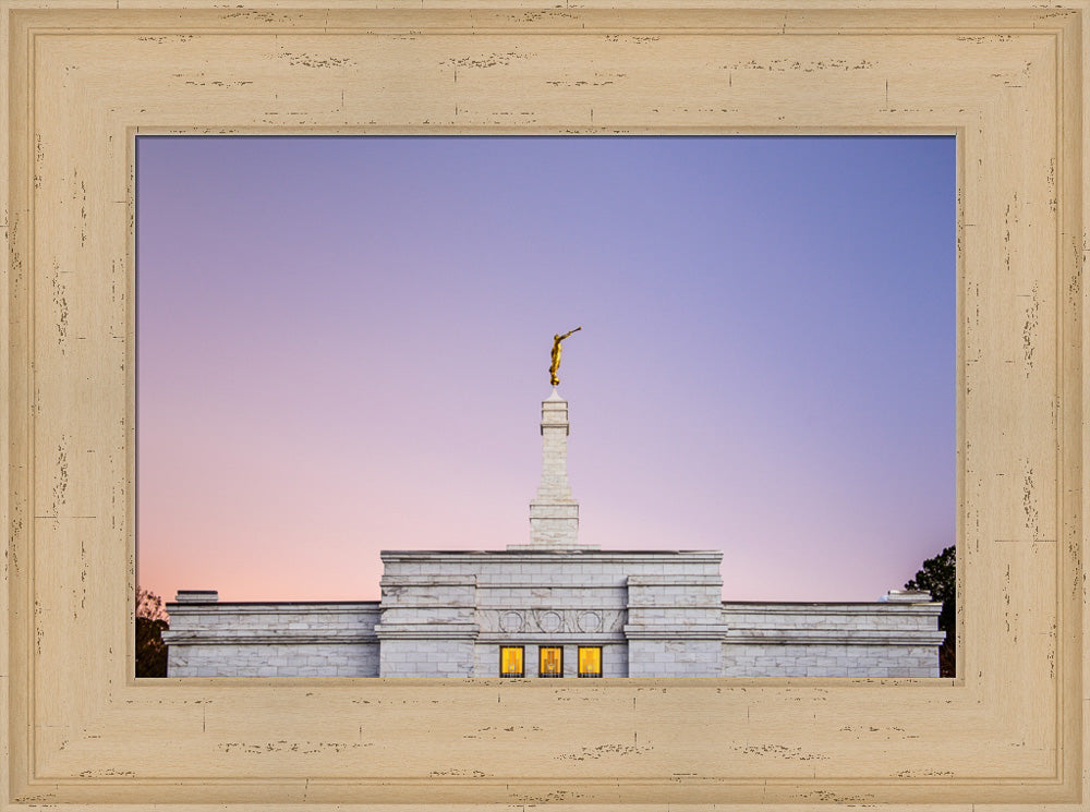 Raleigh Temple - Pink and Purple by Scott Jarvie