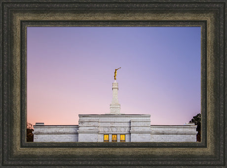 Raleigh Temple - Pink and Purple by Scott Jarvie