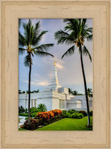 Kona Temple - Palm Trees by Scott Jarvie