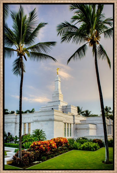 Kona Temple - Palm Trees by Scott Jarvie