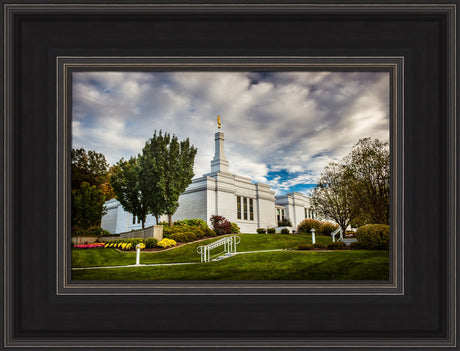 Palmyra Temple - Patch of Blue by Scott Jarvie