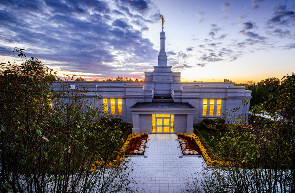 Palmyra Temple - Entrance from High by Scott Jarvie