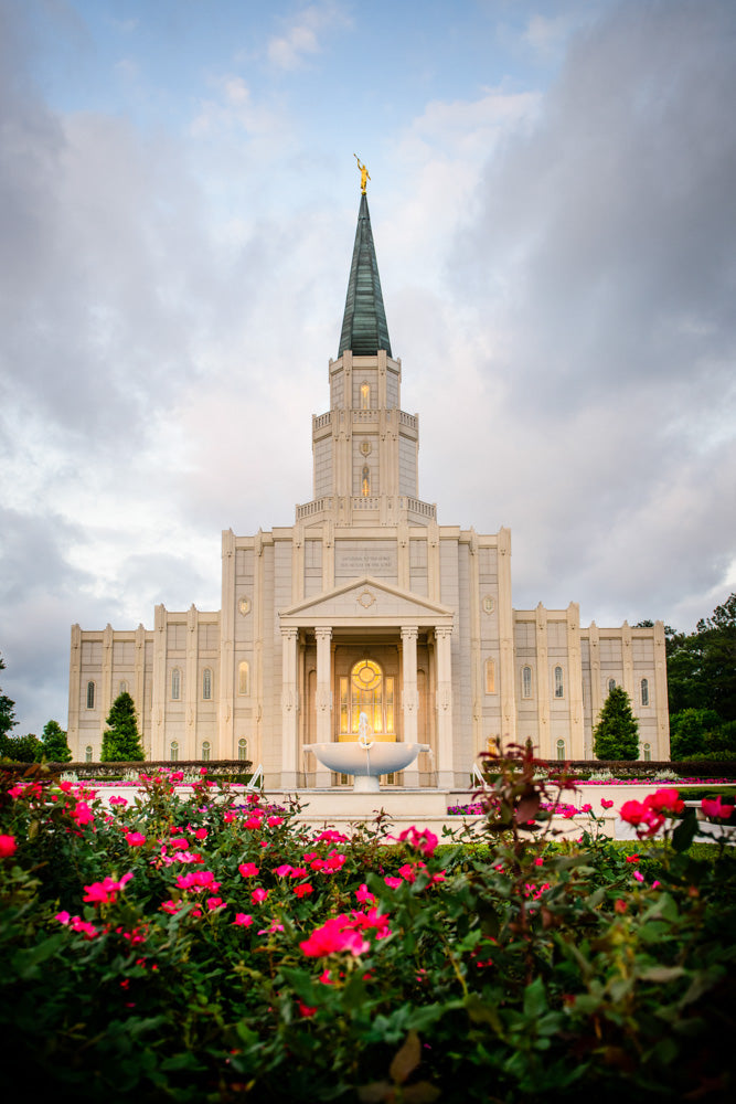 Houston Temple - Temple -Flowers by Scott Jarvie