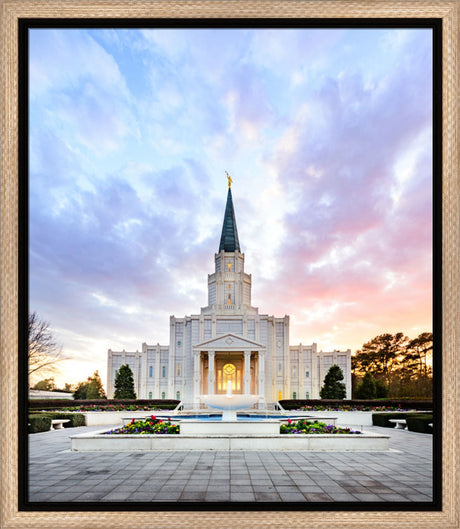 Houston Temple by Scott Jarvie