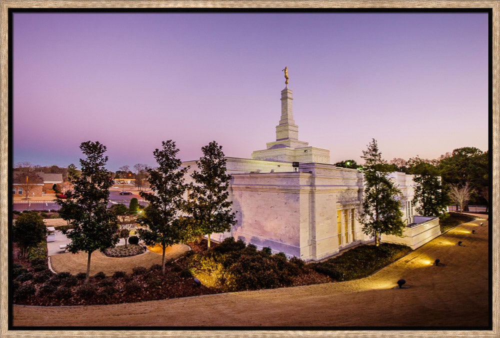 Birmingham Temple - Back Hill View by Scott Jarvie