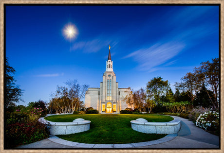 Boston Temple - Moonlight View by Scott Jarvie