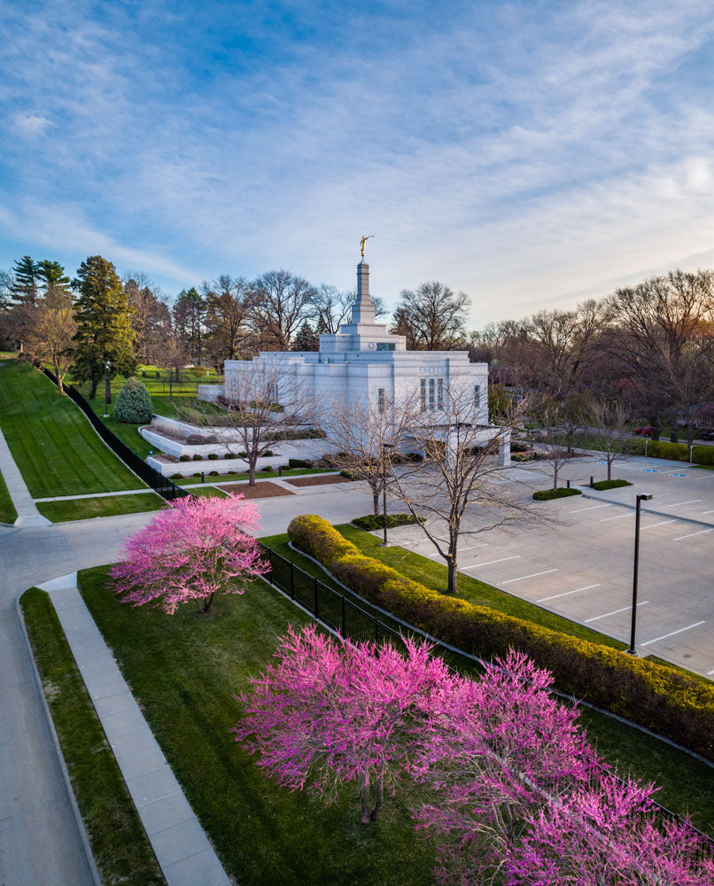 Winter Quarters Temple - Purple Spring by Scott Jarvie