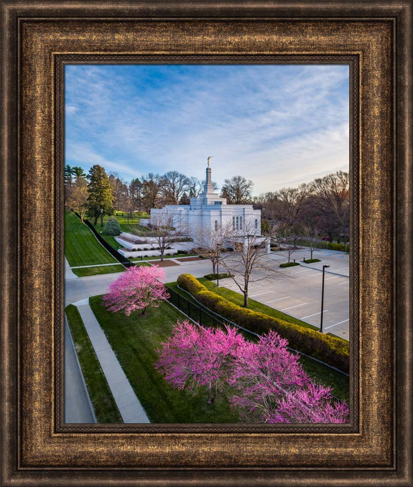 Winter Quarters Temple - Purple Spring by Scott Jarvie