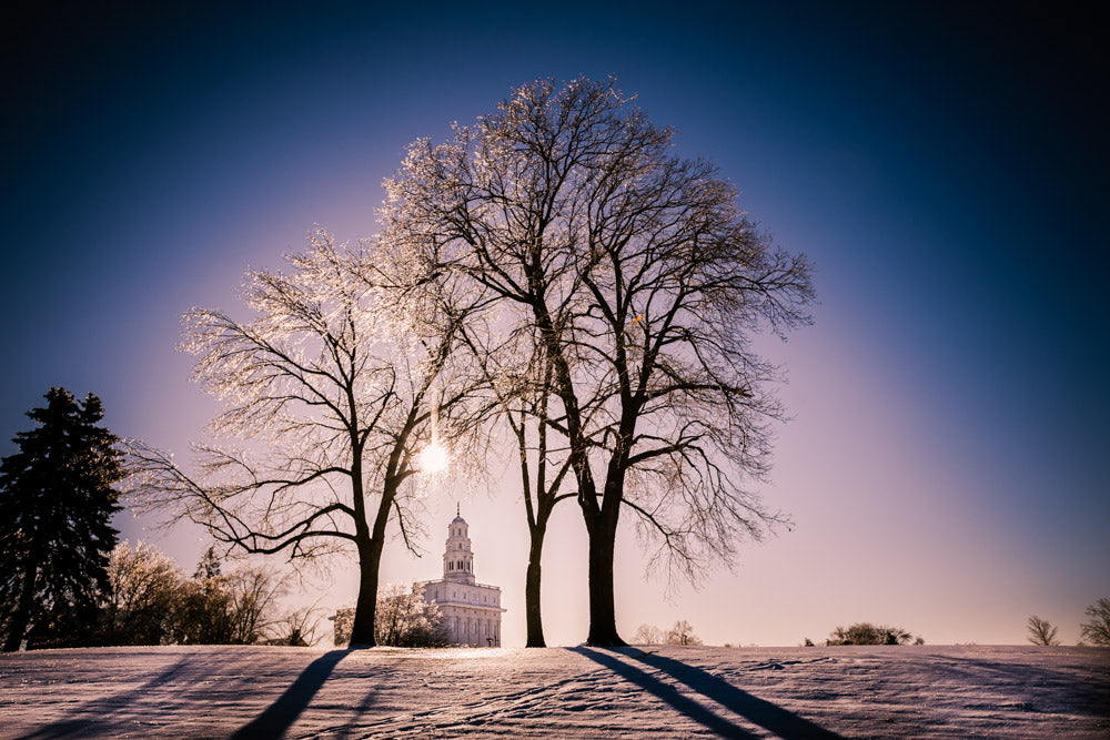 Nauvoo Temple - After an Ice Storm by Scott Jarvie