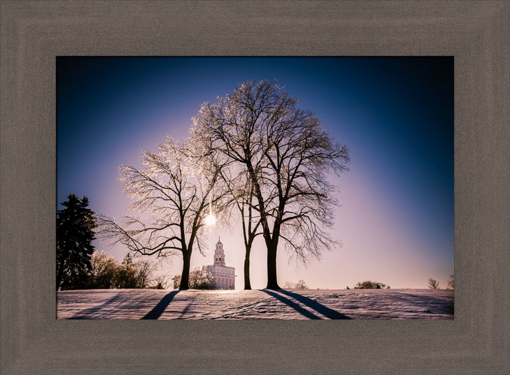 Nauvoo Temple - After an Ice Storm by Scott Jarvie