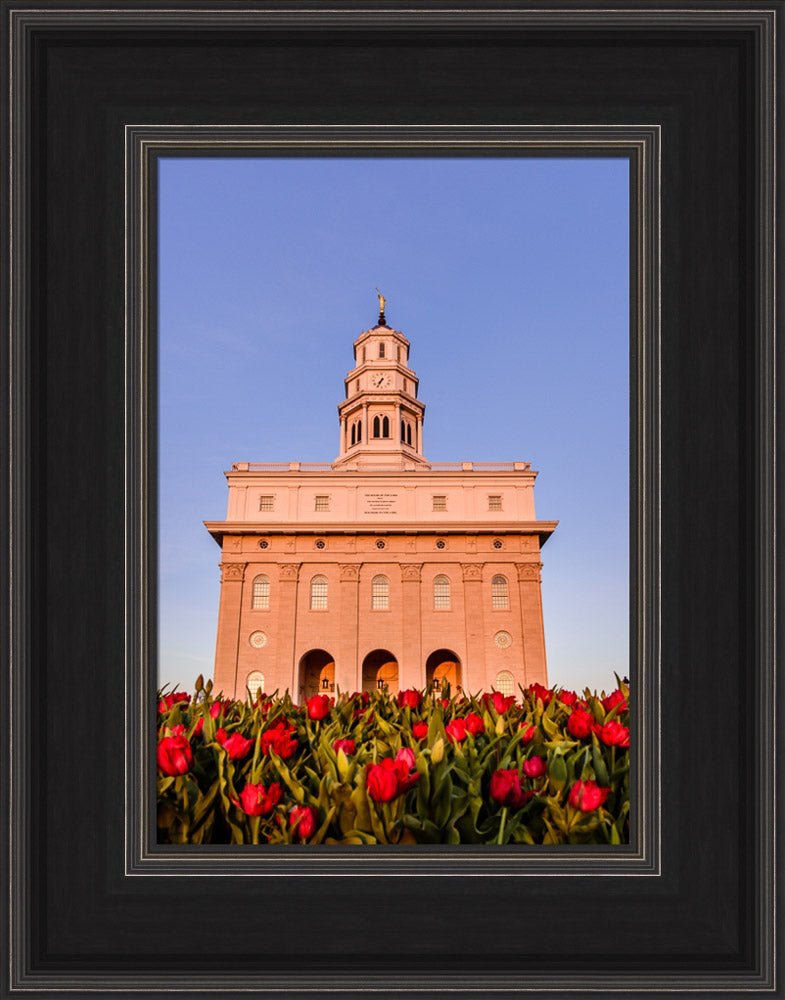 Nauvoo Temple - Tulips by Scott Jarvie