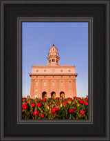 Nauvoo Temple - Tulips by Scott Jarvie