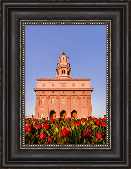 Nauvoo Temple - Tulips by Scott Jarvie