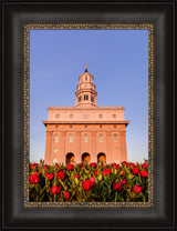 Nauvoo Temple - Tulips by Scott Jarvie