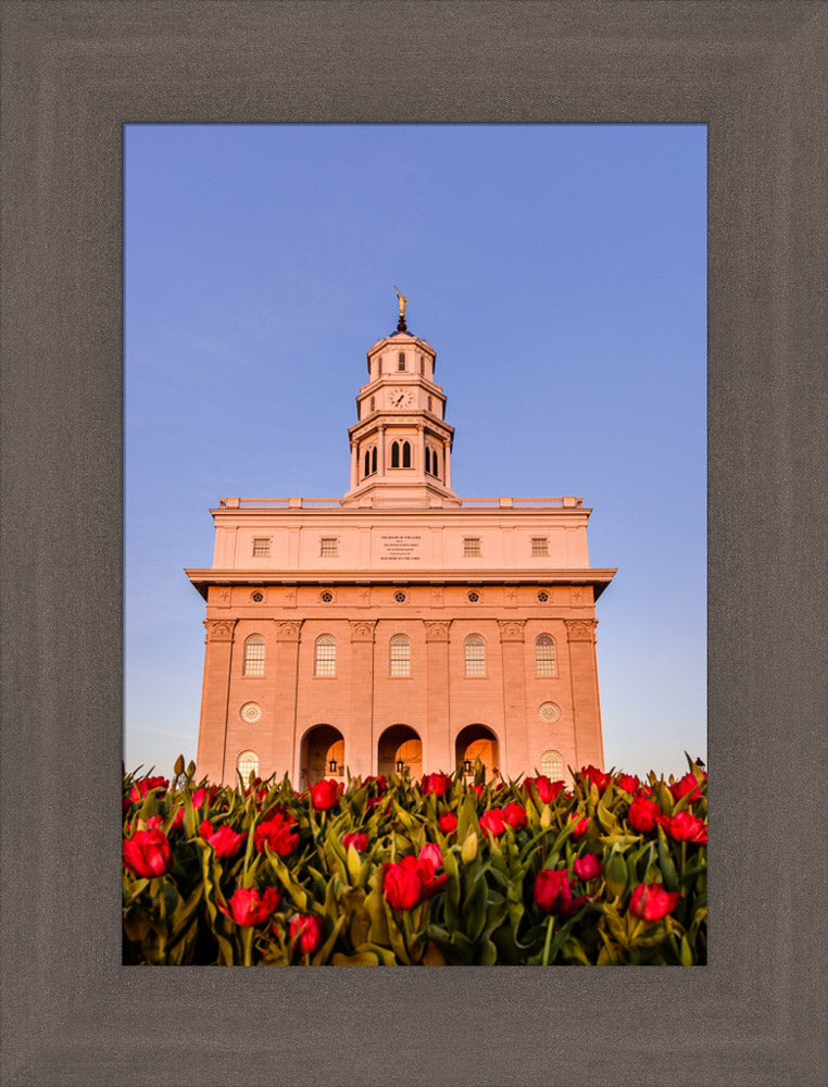 Nauvoo Temple - Tulips by Scott Jarvie